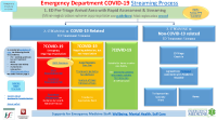 Emergency Department COVID-19 streaming process  front page preview
              